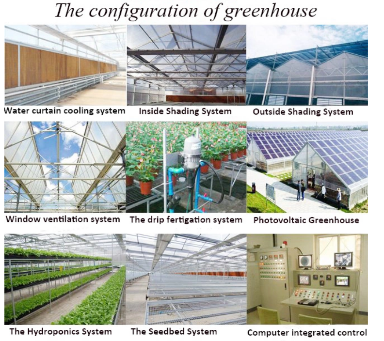 Title: Mastering the Craft of Waterproof Textiles for Greenhouse Construction - A Step-by-Step Guide