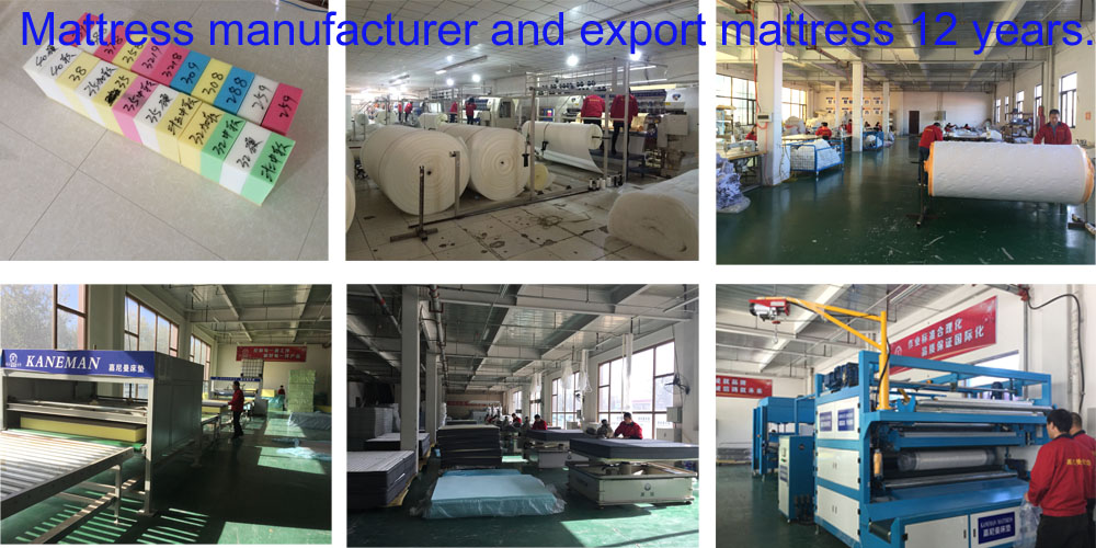 Dalian Textile Factory: A Legacy of Quality and Innovation