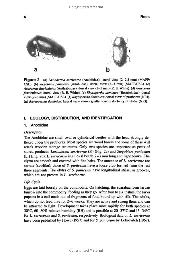 Insect Repellent and Mite Removing Textiles