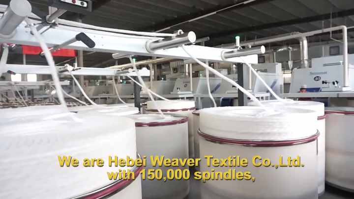 Title: The Evolution of Suinings Large-Scale Textile Industry