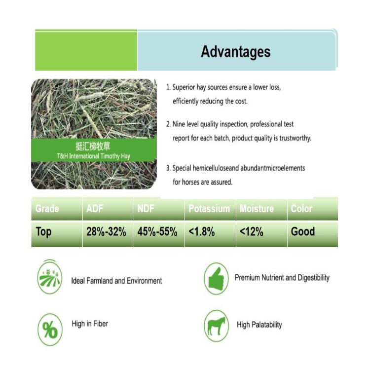 Title: The Evergreen Price of Textile Products: A Comprehensive Analysis