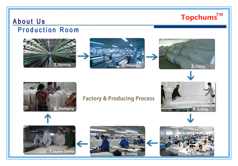 Textile mold prevention process treatment