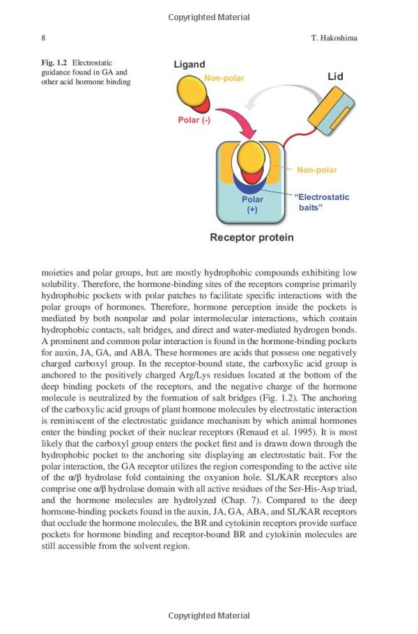 Title: The Emergence of Plant-Based Functional Textiles: A Sustainable Approach