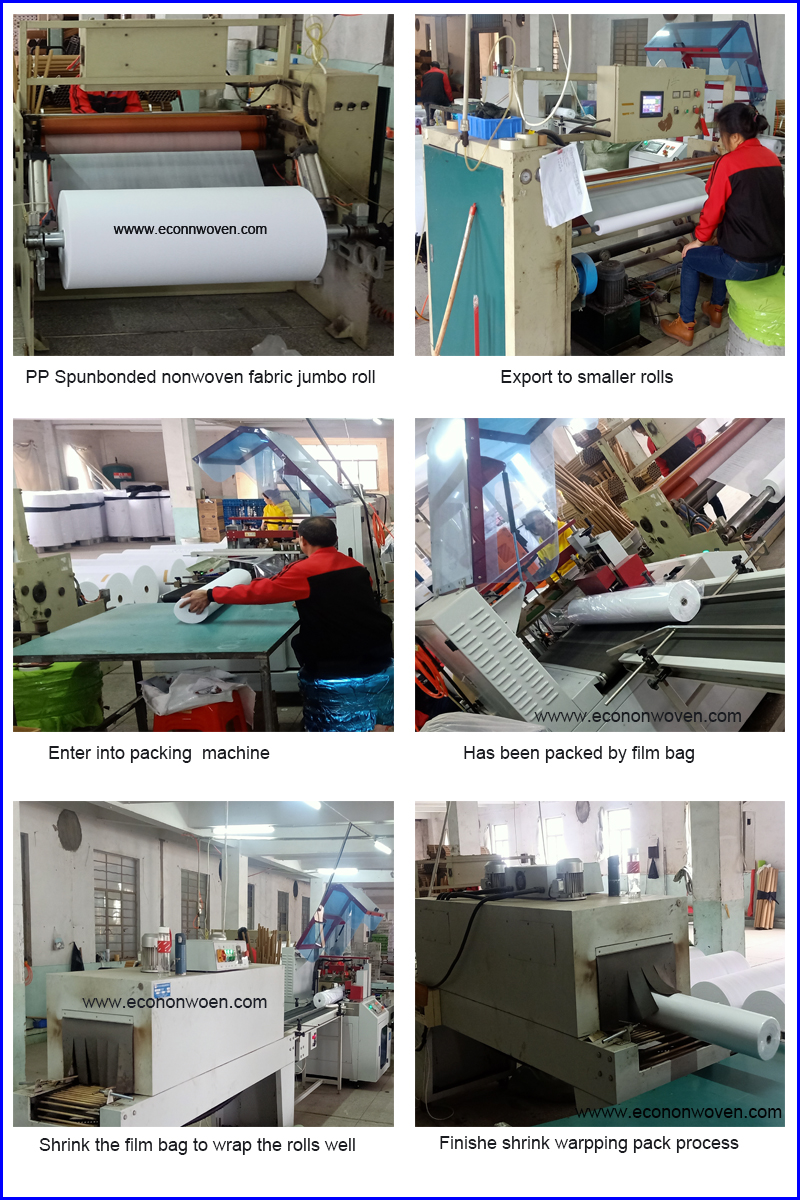 Pioneer in Textile: Putian Textile Factory