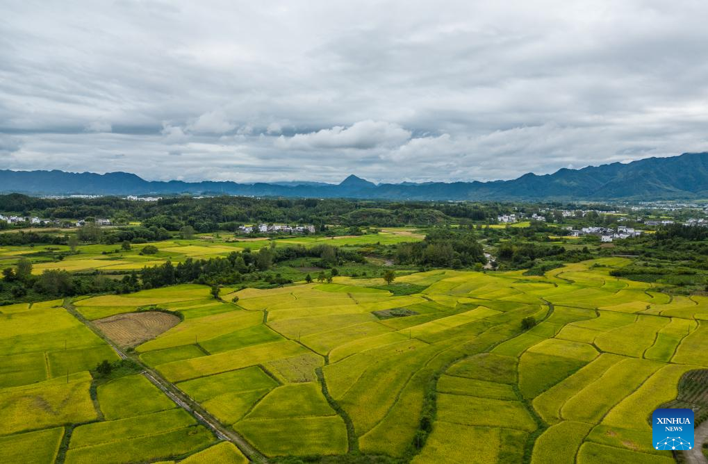 The Textiles of Yixian County