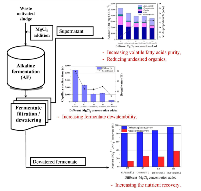 Title: Textile Recycling: A Comprehensive Analysis of Related Graphs and Statistics