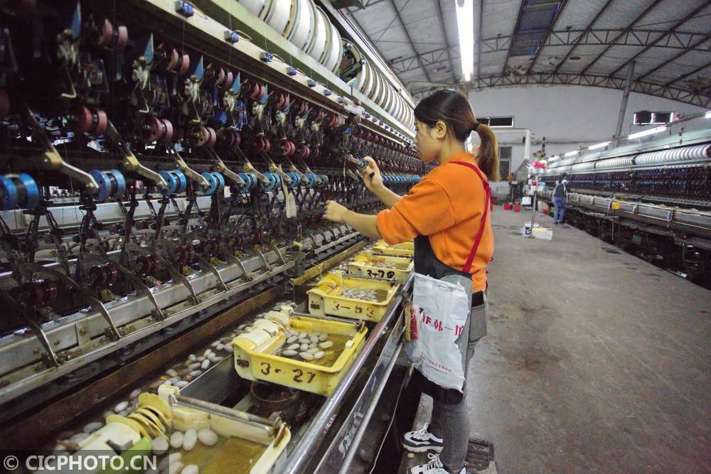 Jiaozhou Textile Factory: A Century of Excellence