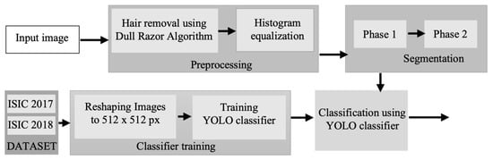 Title: Textile Processing Science: An Overview of Techniques, Applications, and Innovations