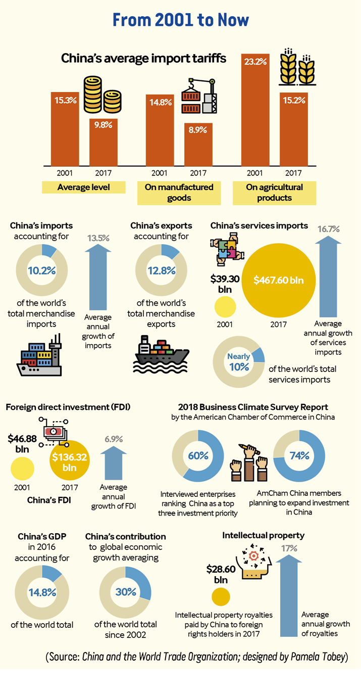 Textile Plant Investment: Opportunities and Challenges