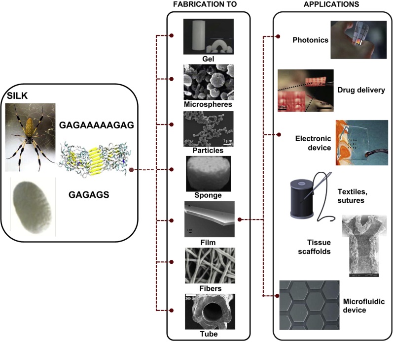 Textile Bactericide Chamber: A Textile-Specific Solution for Germ Elimination