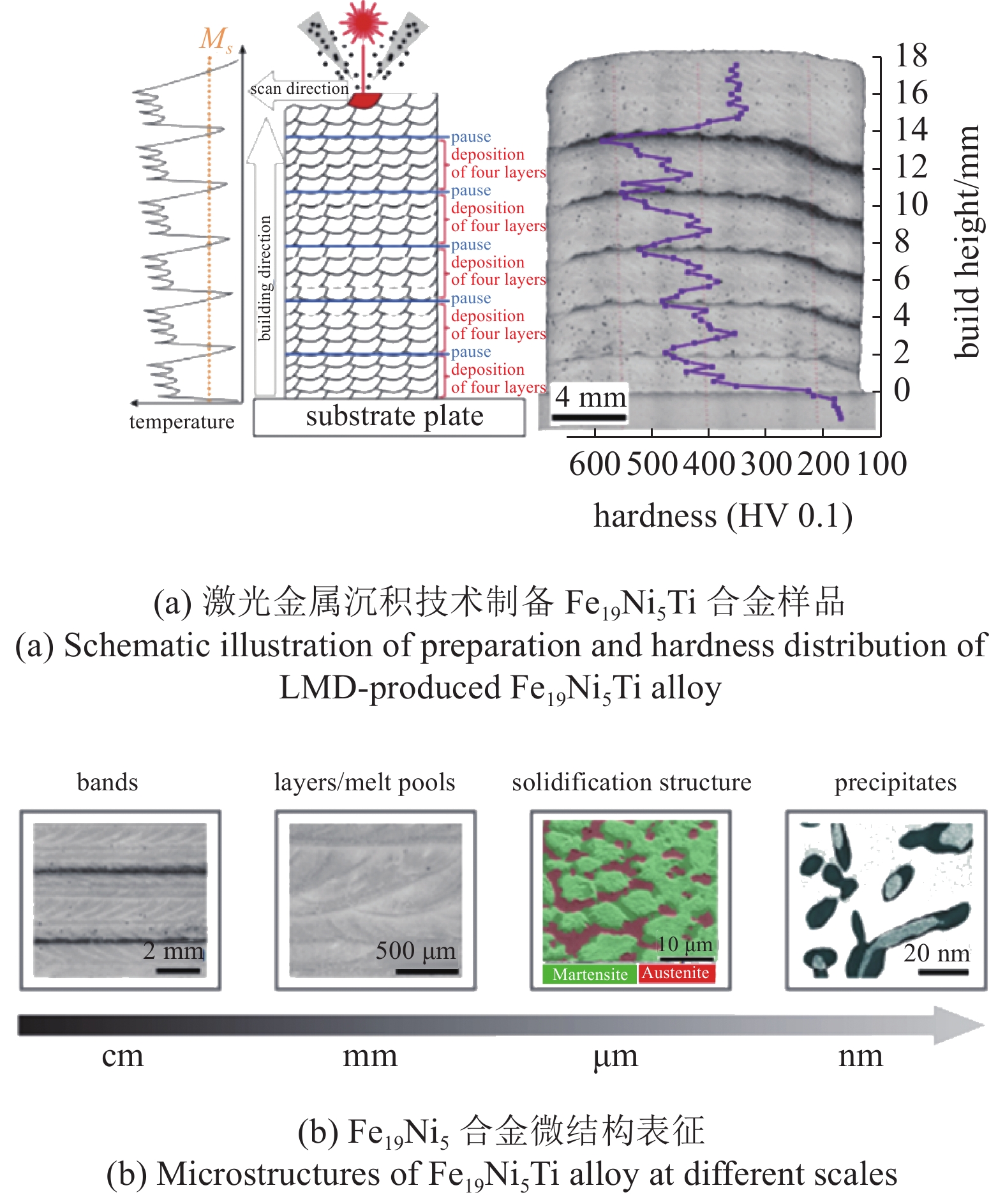 Title: Detecting Cadmium in Textiles: Methods, Applications, and Challenges