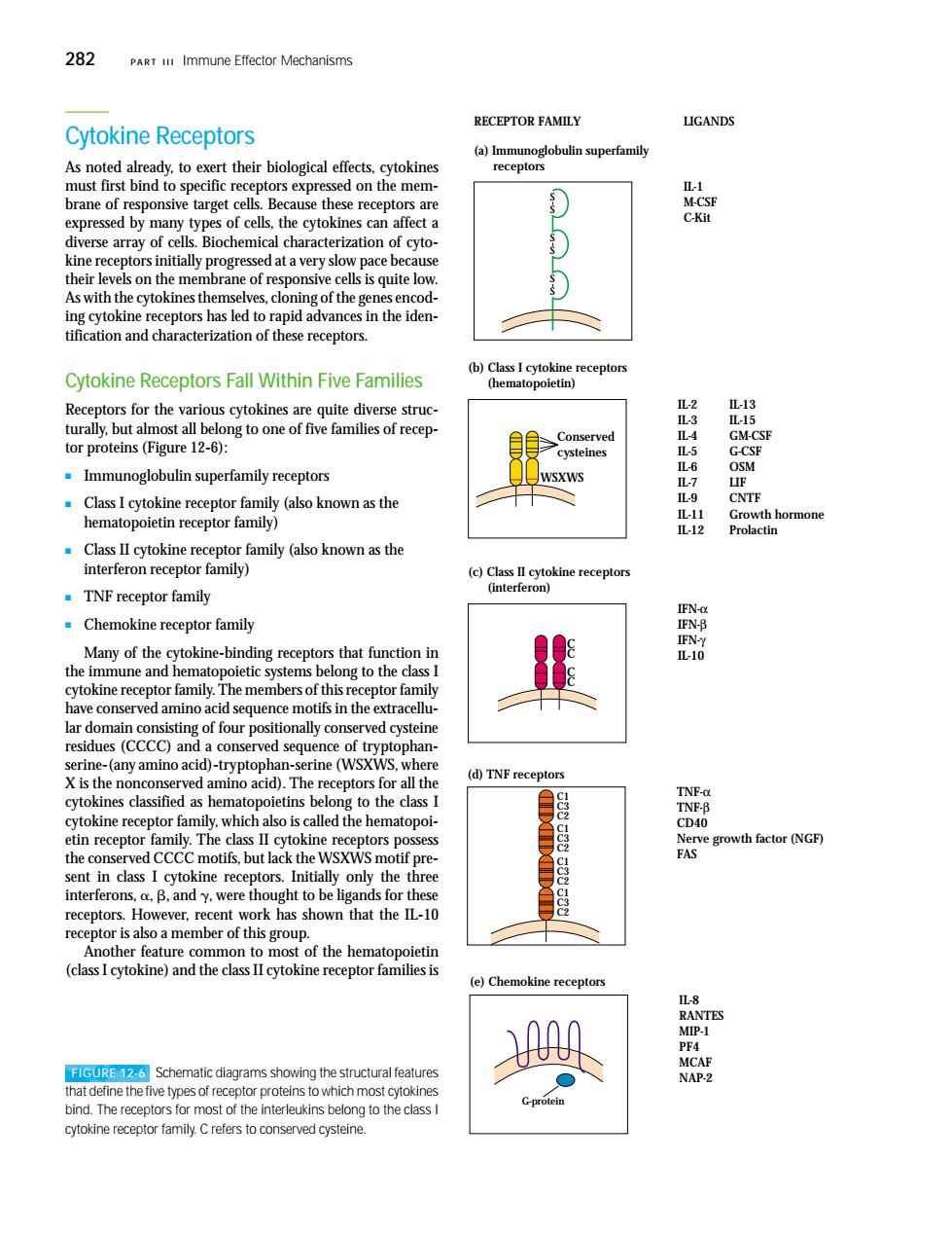 Title: Exploring the World of Home Textile Sample Models: A Comprehensive Guide