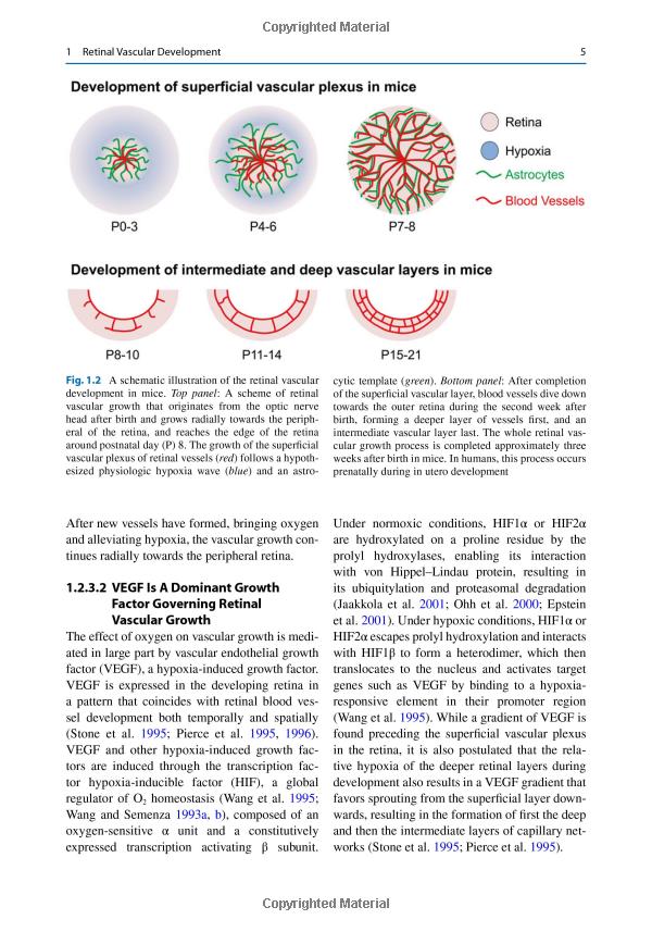 Title: The Importance of Anti-Viral Textiles in Protecting Against Pathogens