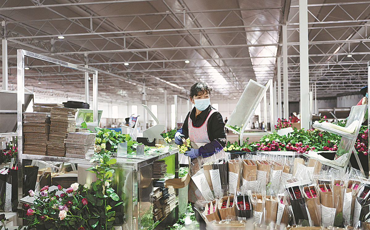 The Work in a Textile Plant