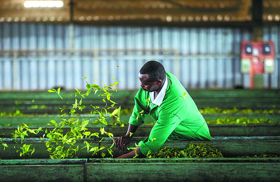 The Work in a Textile Plant