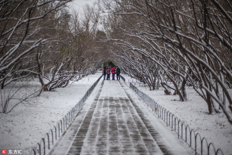 Snow-Covered Textiles: The Allure of Winter Fashion