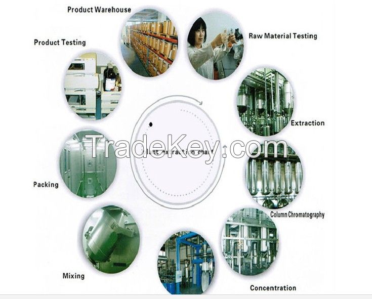 Title: The Synergy of Textile Mills: Combining Resources for Enhanced Production