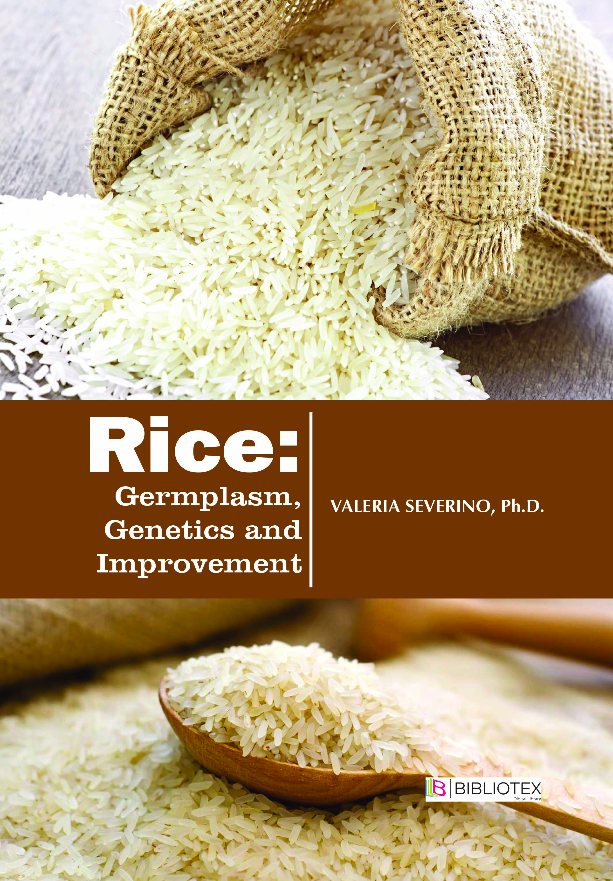 Title: Rice Fragrance Textiles: A Cultural and Craft Legacy