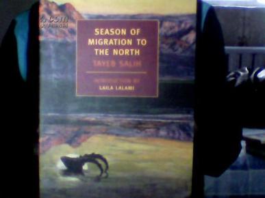 Title: The Emblem of Migration: The Significance and Innovations of Migratory Bird Apparel