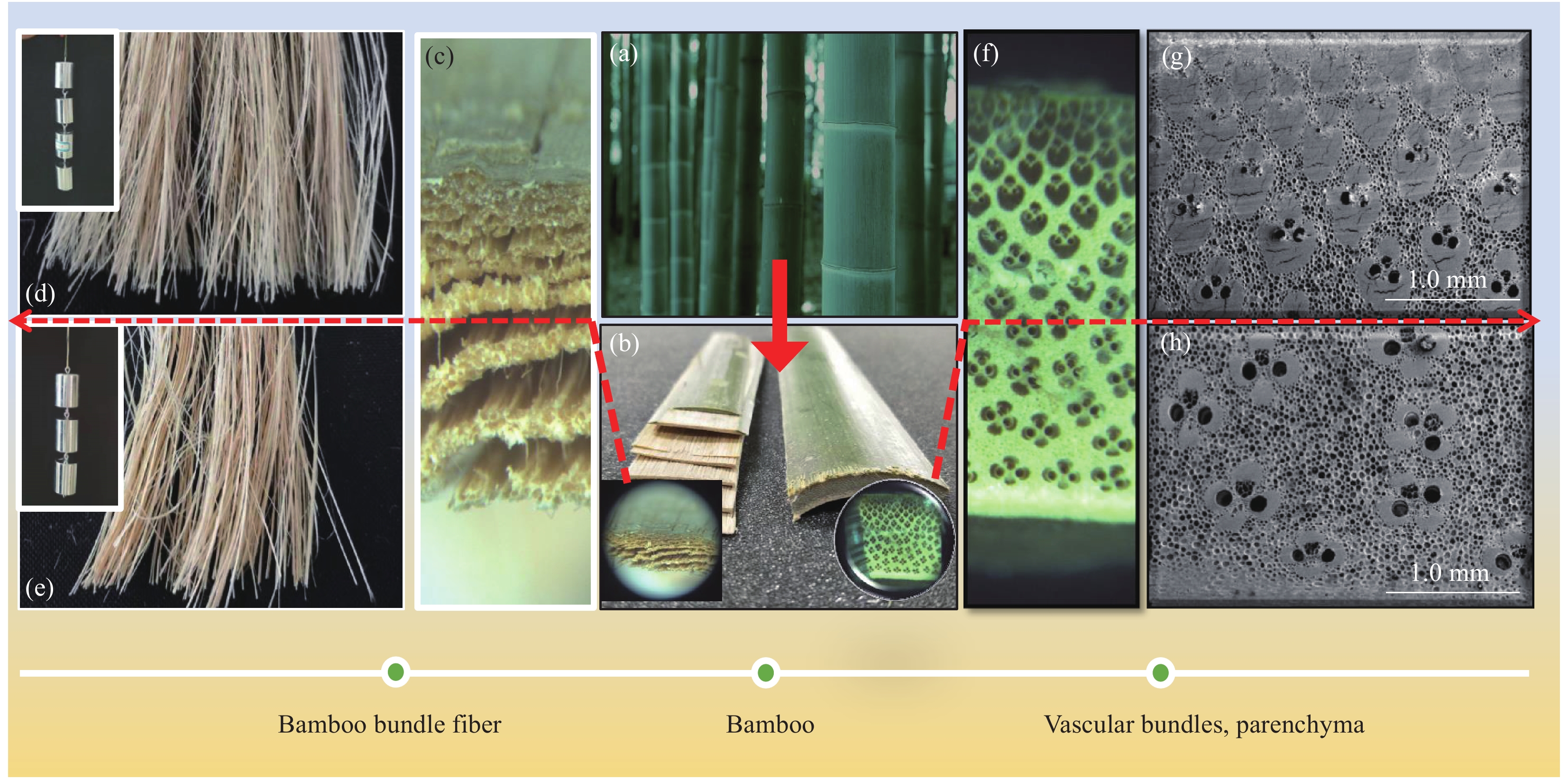 Bamboo Fiber Textile Mill: Sustainable and Versatile Textile Production