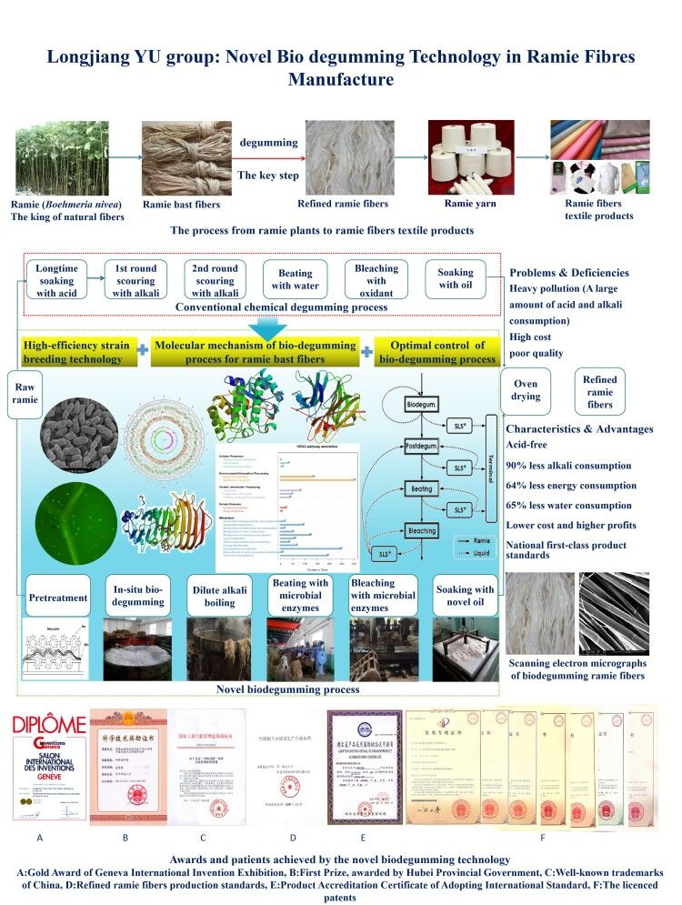 Title: Advanced Applications of Biotechnology in Textile Industry