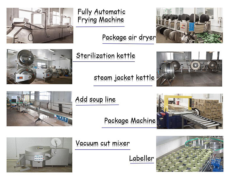 Title: The Surging Textile Industry: A Global Phenomenon