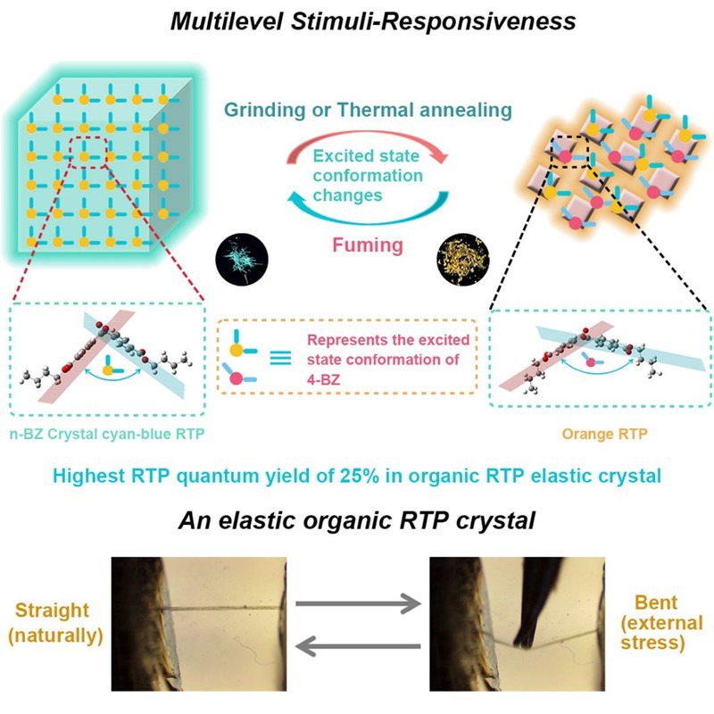 Title: A Comprehensive Study on the Moisture Absorption Performance of Textiles