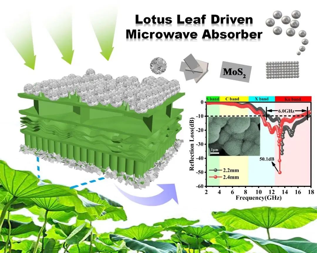 Title: The Effect of Textiles on the Lotus Leaf Principle