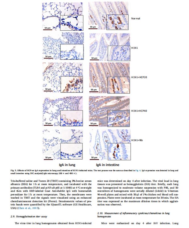 Effectiveness of Customized Needle Textiles from Jiangsu Province