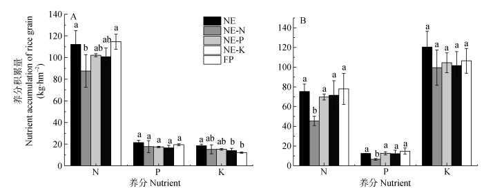 Effectiveness of Customized Needle Textiles from Jiangsu Province