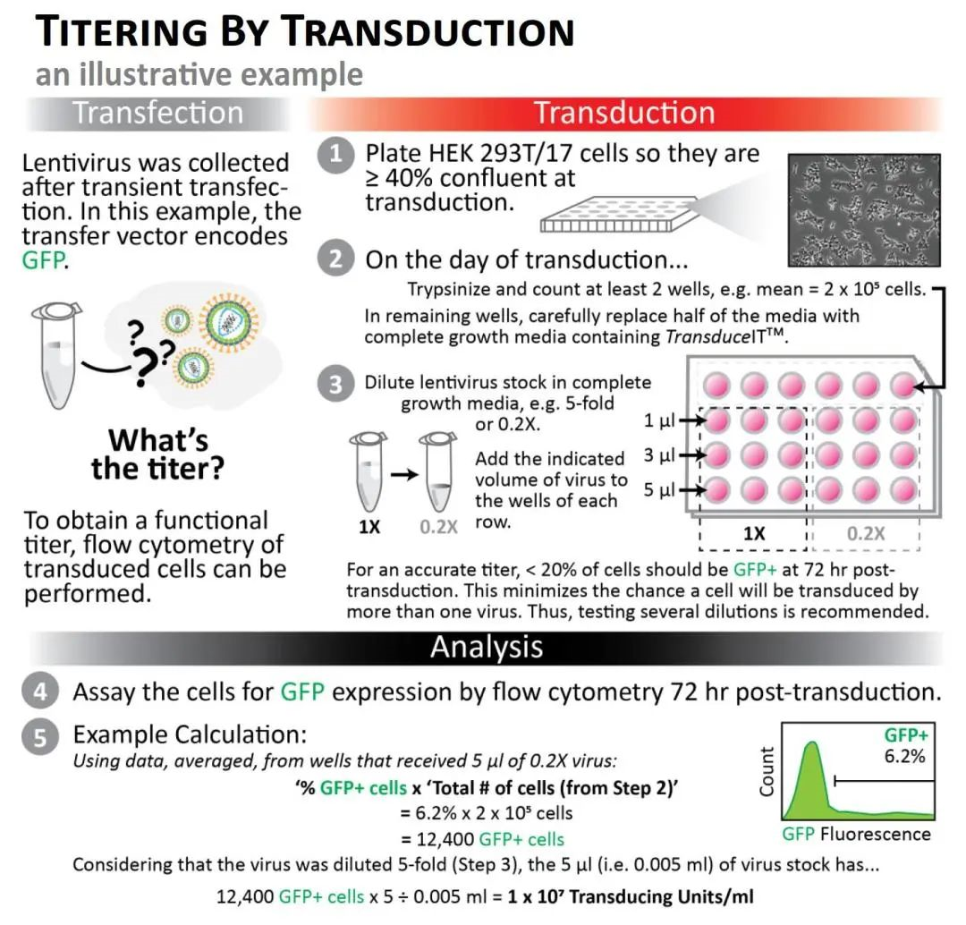 Title: Guidelines for Textile Testing and Detection of Viruses