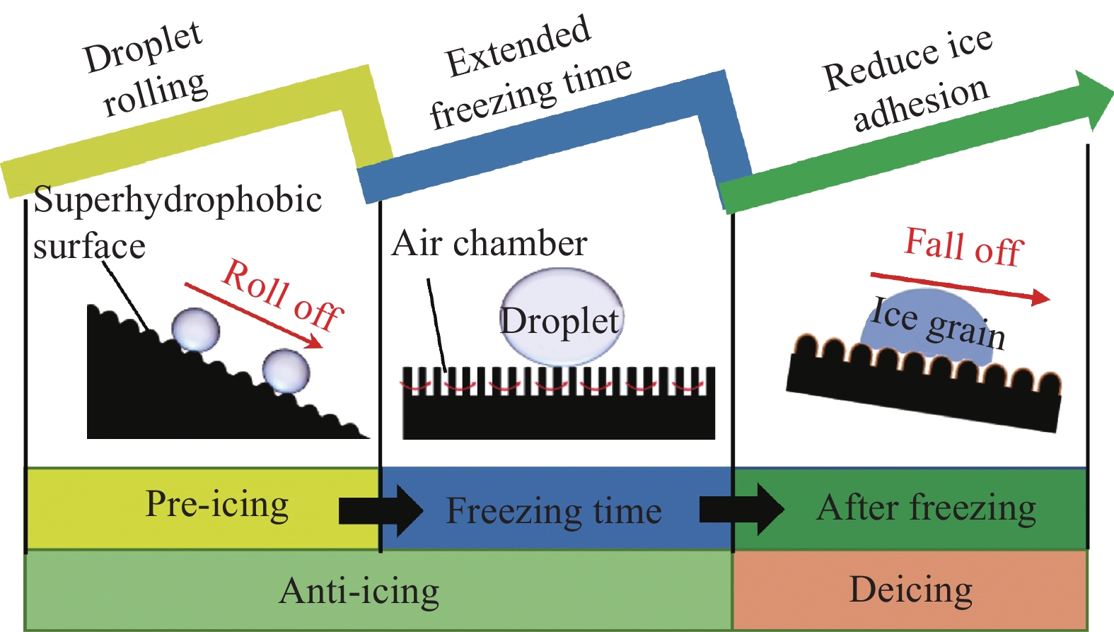 Title: The Effectiveness of Textiles in Antimicrobial Properties