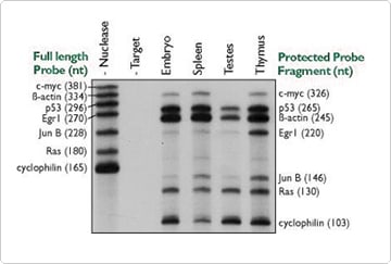 Title: Detection of Formaldehyde Affinity in Textiles: A Comprehensive Review