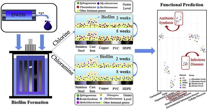 The Presence of Residual Chlorine in Textiles