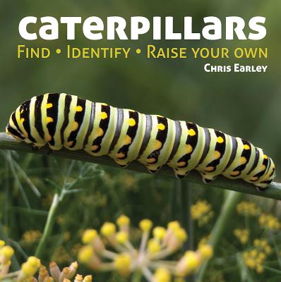 Caterpillar Textiles: A Creative and Sustainable Journey