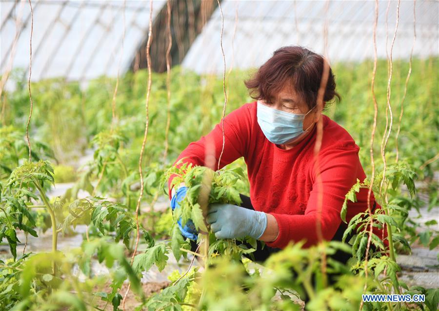 The Open Women of Weiqiao Textile Plant