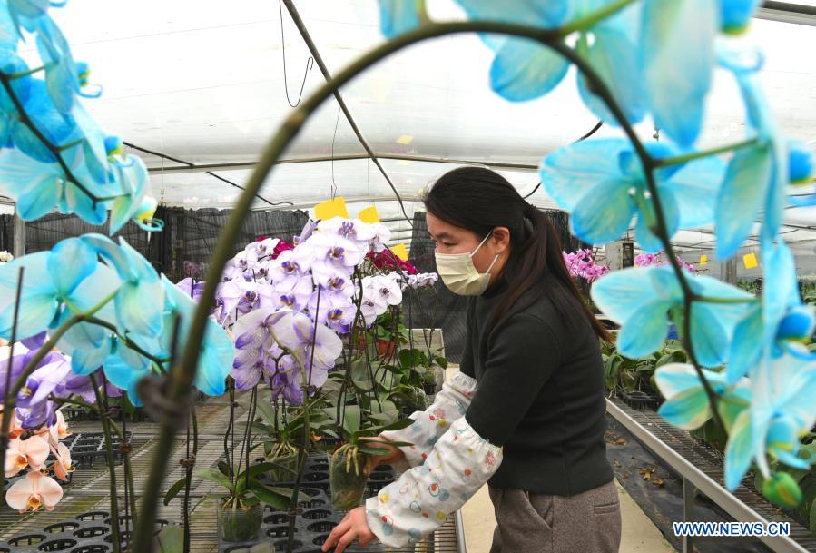 The Open Women of Weiqiao Textile Plant