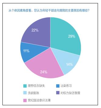 纺织品B类分类及其在现代社会中的应用