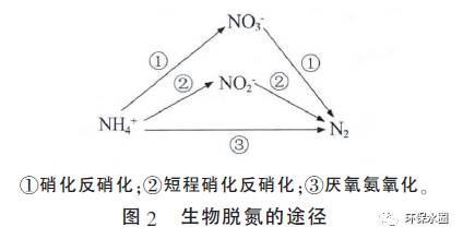 纺织品apeo含量，影响与控制