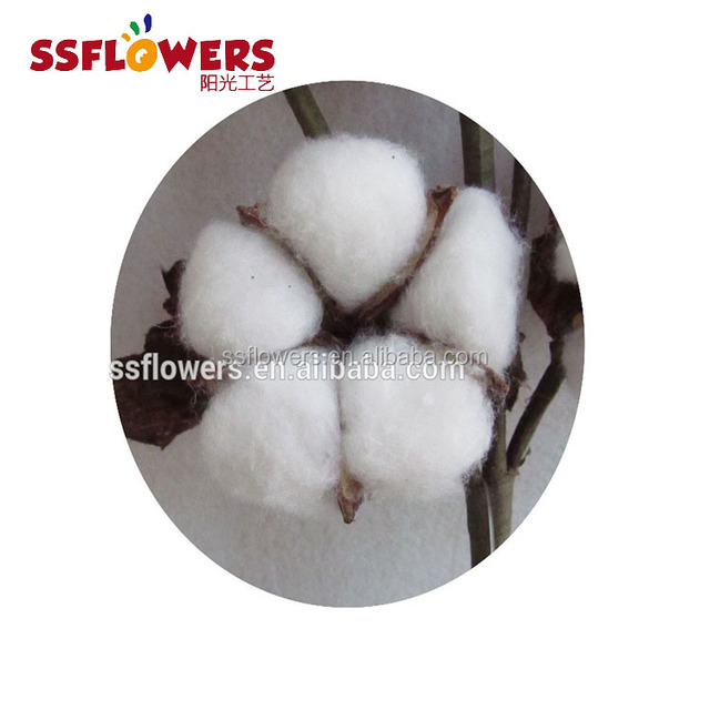 Title: The Art and Science of Fuzhou Cotton Spinning