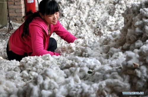 Title: The Art and Science of Fuzhou Cotton Spinning