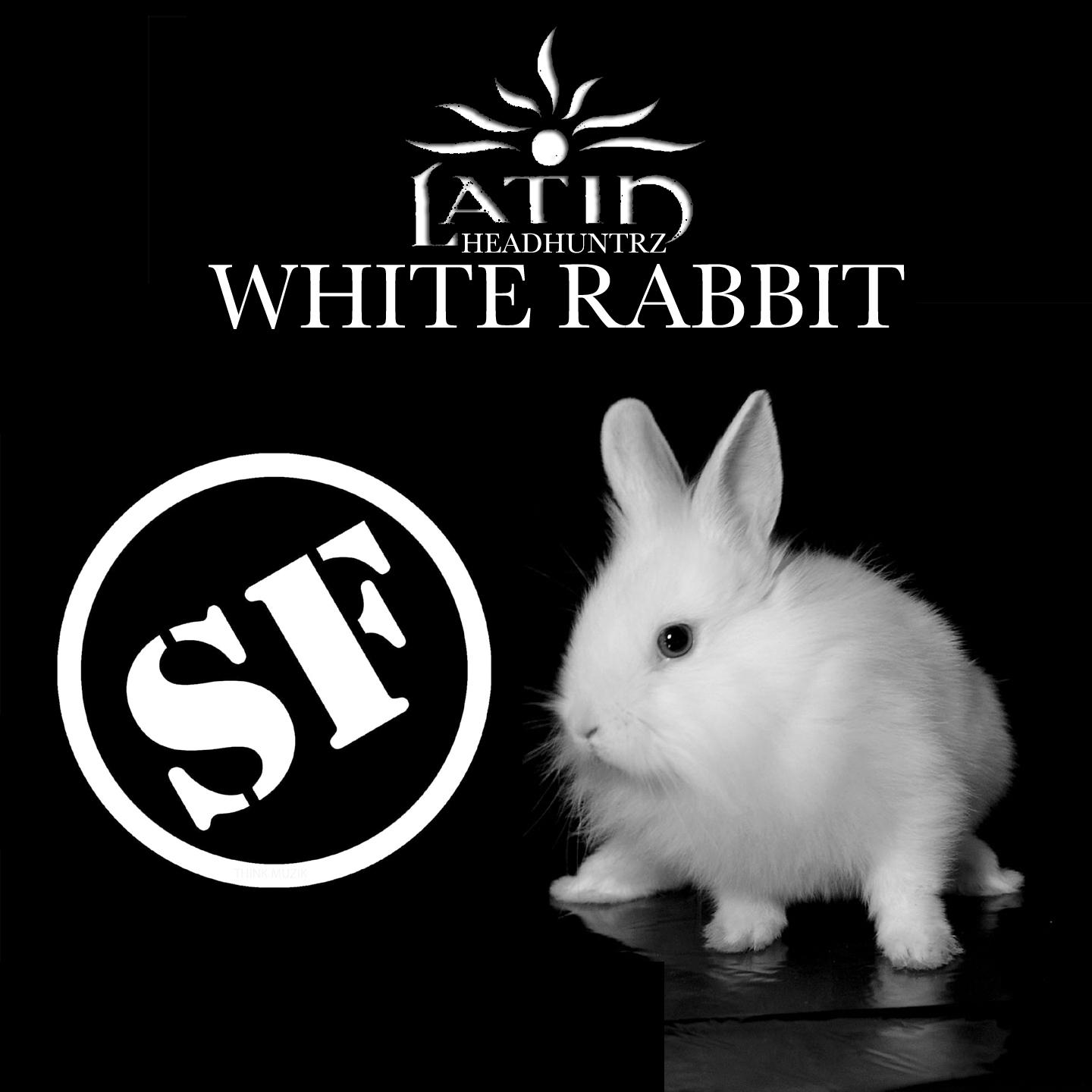 Title: The White Rabbit Town Textile Mill: A Legacy of Quality and Innovation