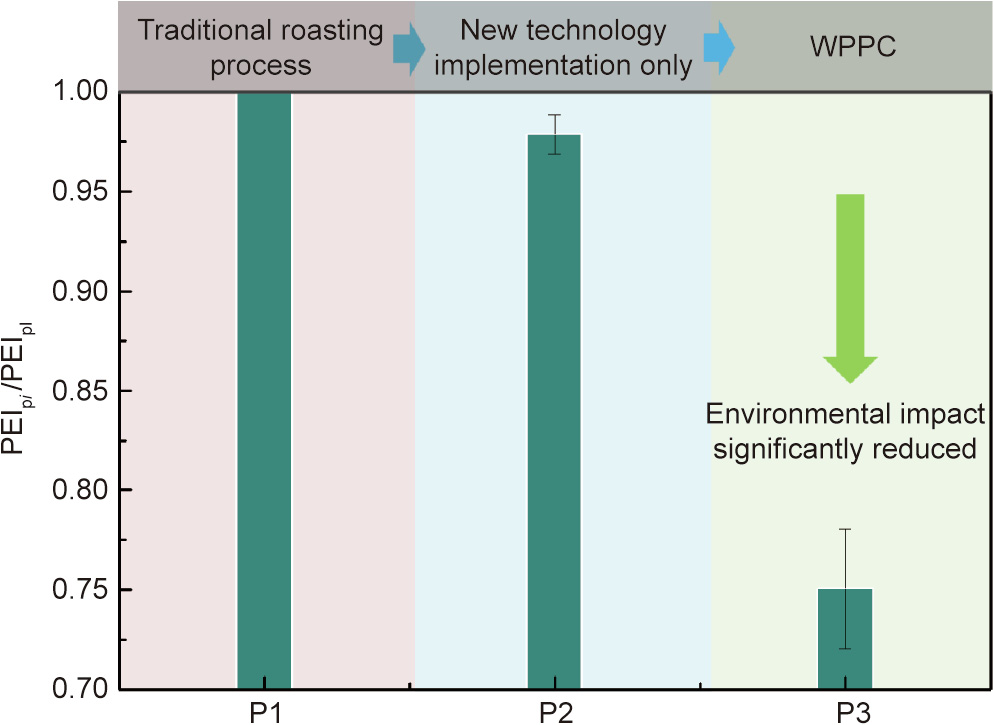 PVP Textiles: Properties, Applications, and Environmental Impact