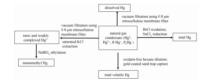 Title: The Costly Conundrum of Textile Mills: Analyzing the Impact of Material Consumption on Factory Operations