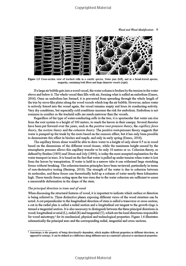 Title: Principles of Textile Decolorization Technology