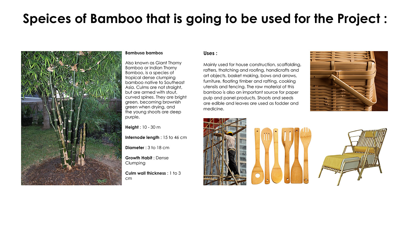 Bamboo Textiles: Ancient Craftsmanship and Modern Applications