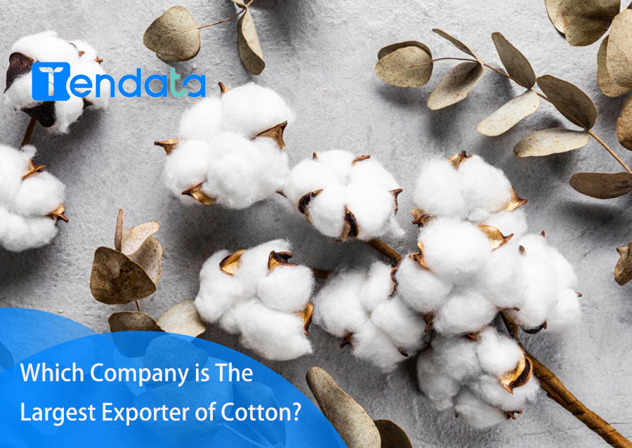 Title: The Evolution of Baoding Cotton Textile Mill: A Journey through Time