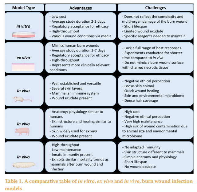 Title: Anti-odour Textiles: A Sustainable Solution for Combating Bad Smells