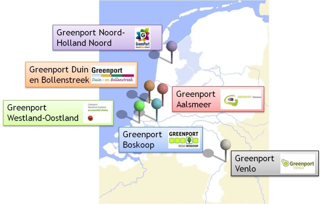 Port Gate Districts Green Textile On-demand Customization