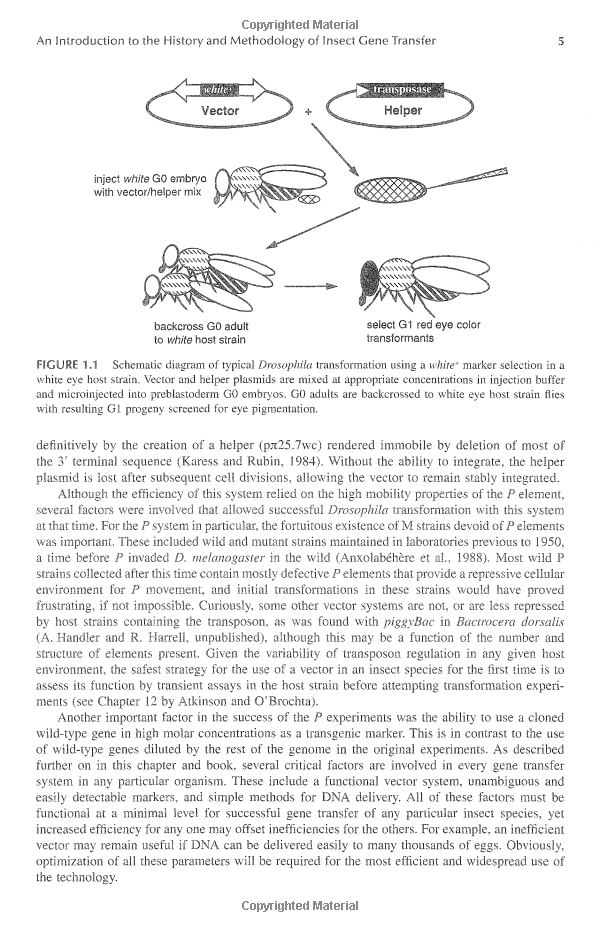 Title: Ingesting Textile Ants: The Fascinating World of Parasitoids